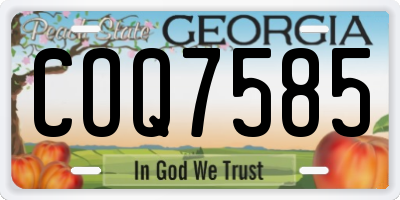 GA license plate COQ7585