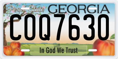 GA license plate COQ7630