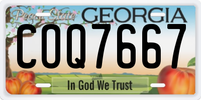 GA license plate COQ7667