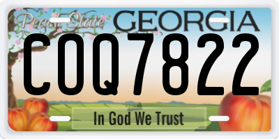 GA license plate COQ7822