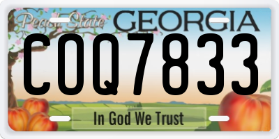 GA license plate COQ7833