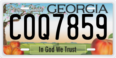 GA license plate COQ7859