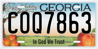 GA license plate COQ7863
