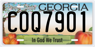 GA license plate COQ7901