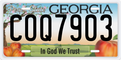 GA license plate COQ7903