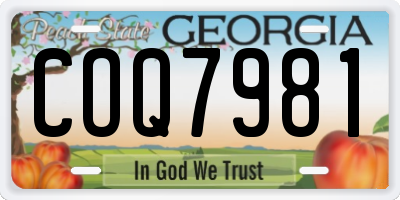 GA license plate COQ7981