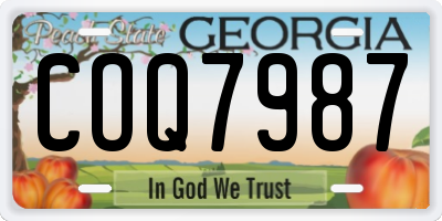 GA license plate COQ7987