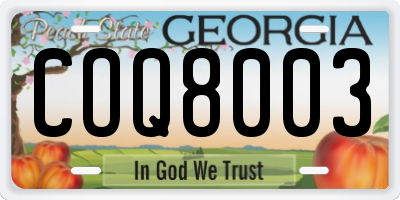 GA license plate COQ8003