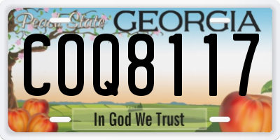 GA license plate COQ8117