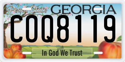 GA license plate COQ8119