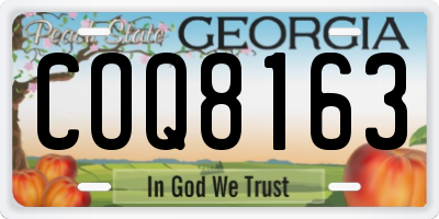 GA license plate COQ8163