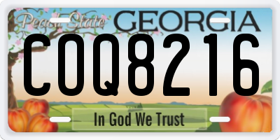 GA license plate COQ8216
