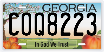 GA license plate COQ8223