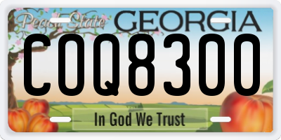 GA license plate COQ8300