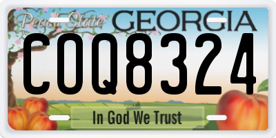 GA license plate COQ8324