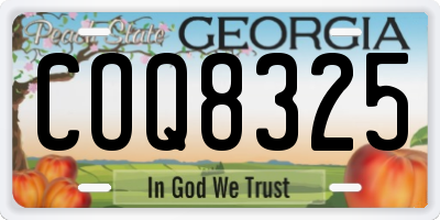 GA license plate COQ8325
