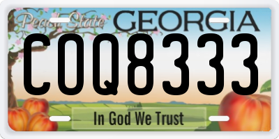 GA license plate COQ8333
