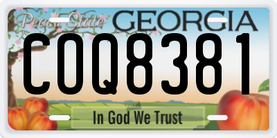 GA license plate COQ8381