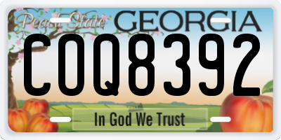 GA license plate COQ8392
