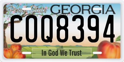 GA license plate COQ8394