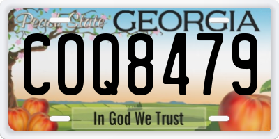GA license plate COQ8479