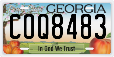 GA license plate COQ8483