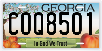 GA license plate COQ8501