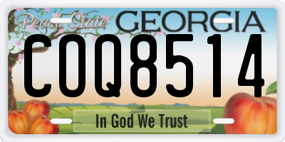 GA license plate COQ8514