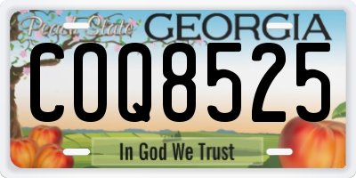 GA license plate COQ8525