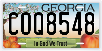 GA license plate COQ8548