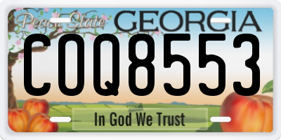 GA license plate COQ8553