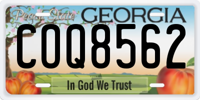 GA license plate COQ8562