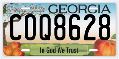 GA license plate COQ8628