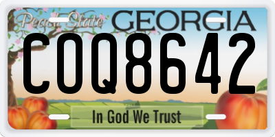 GA license plate COQ8642