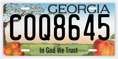 GA license plate COQ8645
