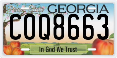 GA license plate COQ8663