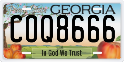 GA license plate COQ8666