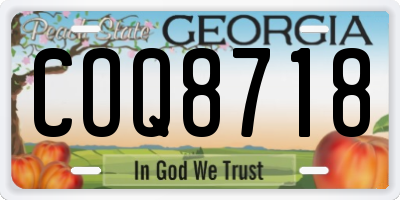 GA license plate COQ8718