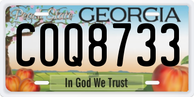 GA license plate COQ8733