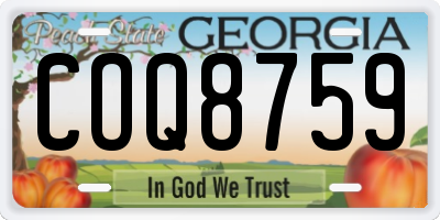 GA license plate COQ8759