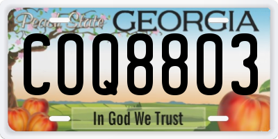 GA license plate COQ8803