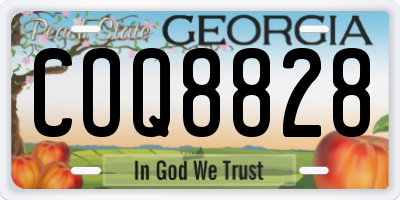 GA license plate COQ8828