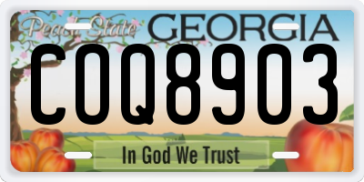GA license plate COQ8903