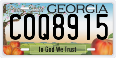 GA license plate COQ8915