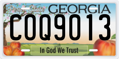 GA license plate COQ9013