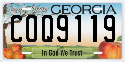 GA license plate COQ9119