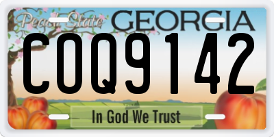 GA license plate COQ9142