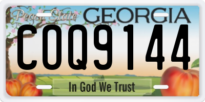 GA license plate COQ9144
