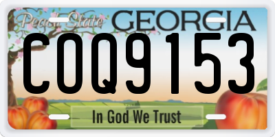 GA license plate COQ9153