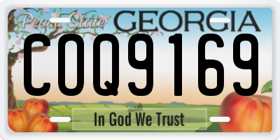 GA license plate COQ9169
